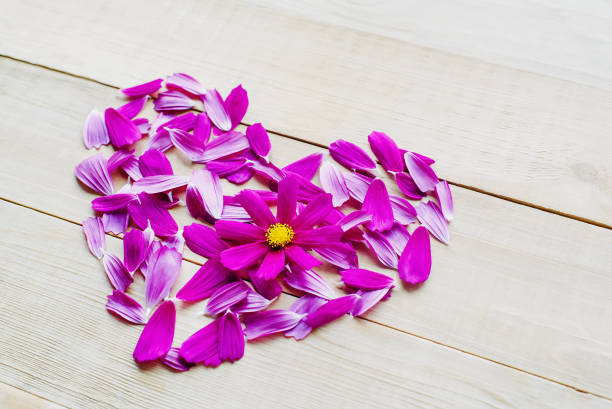 istock flower heart shape lay on wooden background 912344904