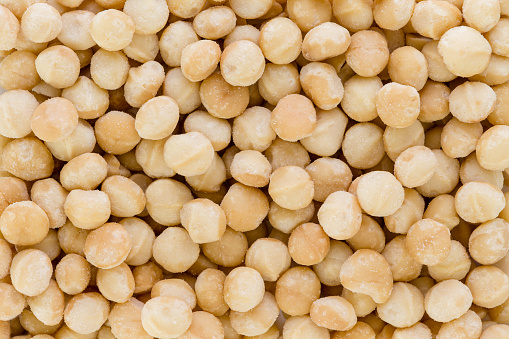 Background texture of fresh natural shelled unsalted raw macadamia nuts in a full frame close up view
