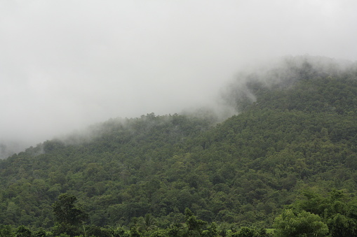 tree covered moutain with low lying clouds in Northern Thailand