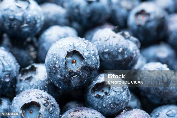 Blueberries Stock Photo - Download Image Now - Blueberry, Antioxidant, USA