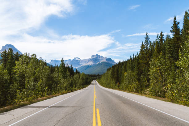 istock Scenic Icefields Parkway highway in Rocky Mountains, Alberta, Canada on sunny day 912377168