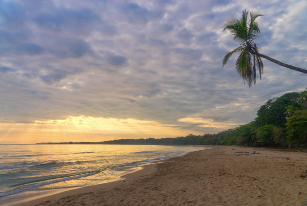 istock Puerto Viejo in Costa Rica 912377190