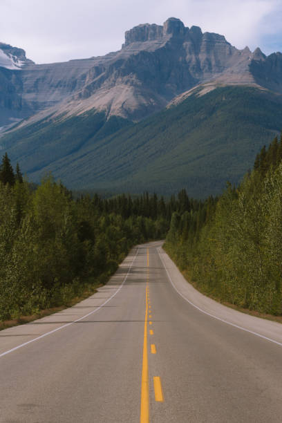 istock Scenic Icefields Parkway highway in Rocky Mountains, Alberta, Canada on sunny day 912378158