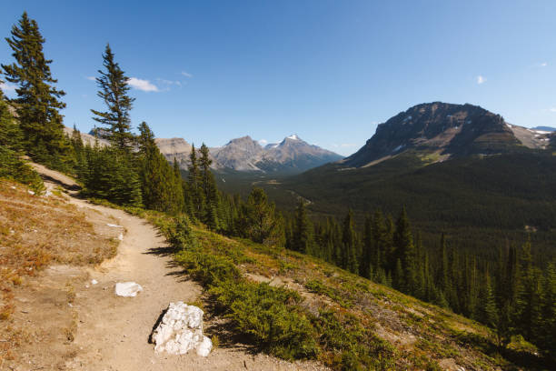 istock Beautiful hike trail in forest in Rocky Mountains in Canada on sunny day 912379424