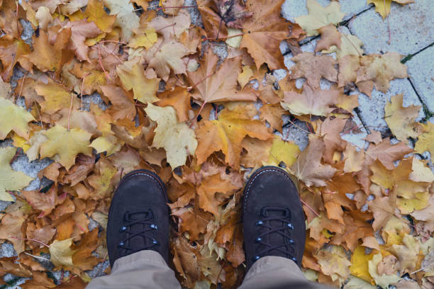 Image of fall, autumn, leaves, legs and shoes