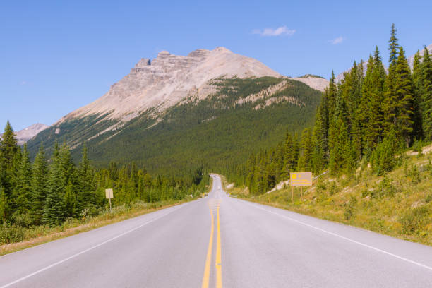 istock Scenic Icefields Parkway highway in Rocky Mountains, Alberta, Canada on sunny day 912380848