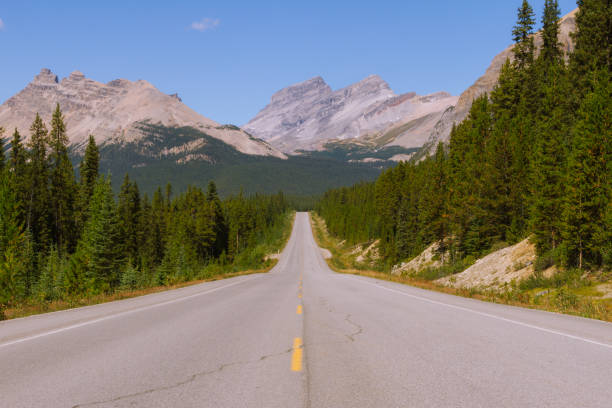 istock Scenic Icefields Parkway highway in Rocky Mountains, Alberta, Canada on sunny day 912381486