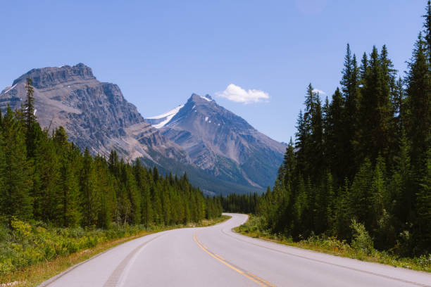 istock Scenic Icefields Parkway highway in Rocky Mountains, Alberta, Canada on sunny day 912381934
