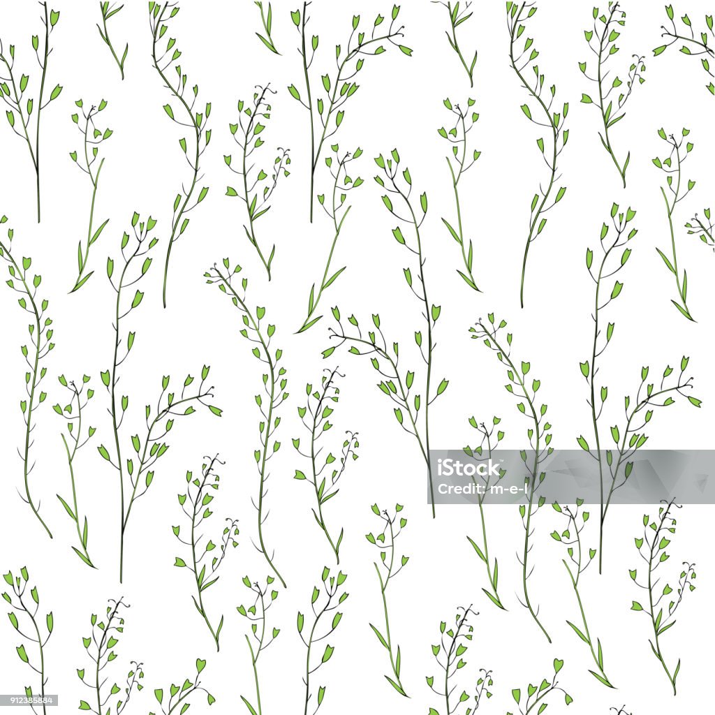 Seamless floral pattern, Capsella flower, Shepherd's purse, Capsella bursa-pastoris, the entire plant, hand drawn vector ink sketch isolated on white, for design cosmetics, textile, natural fabric Seamless floral pattern, Capsella flower, Shepherd's purse, Capsella bursa-pastoris, the entire plant, hand drawn vector ink sketch isolated on white, for design cosmetic, textile, natural fabric Agricultural Field stock vector