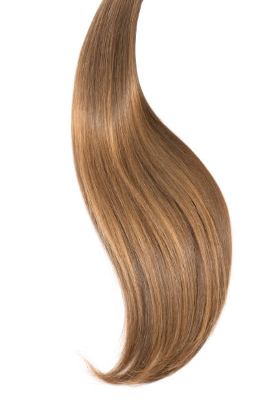 istock Curl of natural hair on a white background 912386024