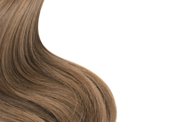 istock Curl of natural hair on a white background 912386042