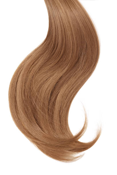 istock Curl of natural hair on a white background 912386044