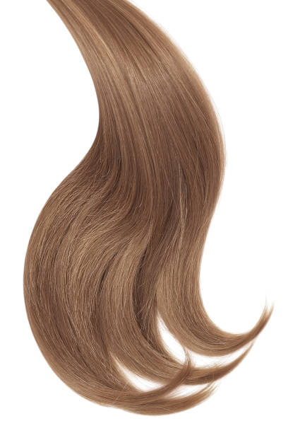 istock Curl of natural hair on a white background 912386060