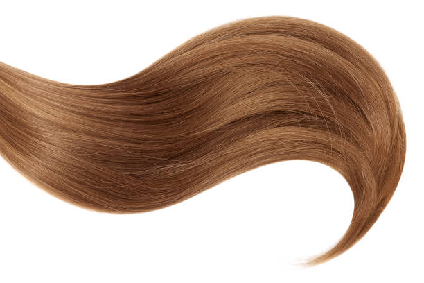 istock Curl of natural hair on a white background 912386068