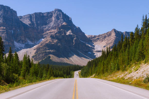 istock Scenic Icefields Parkway highway in Rocky Mountains, Alberta, Canada on sunny day 912386110