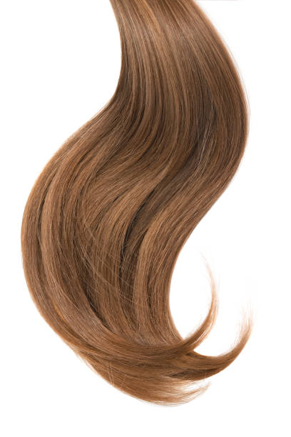 istock Curl of natural hair on a white background 912386128