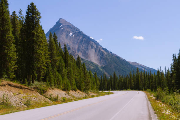 istock Scenic Icefields Parkway highway in Rocky Mountains, Alberta, Canada on sunny day 912388228
