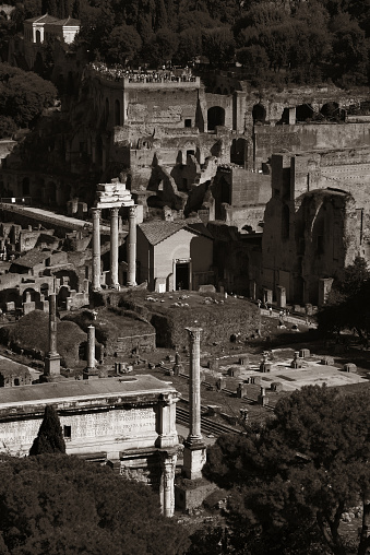 Rome rooftop view with ancient architecture monochrome in Italy.