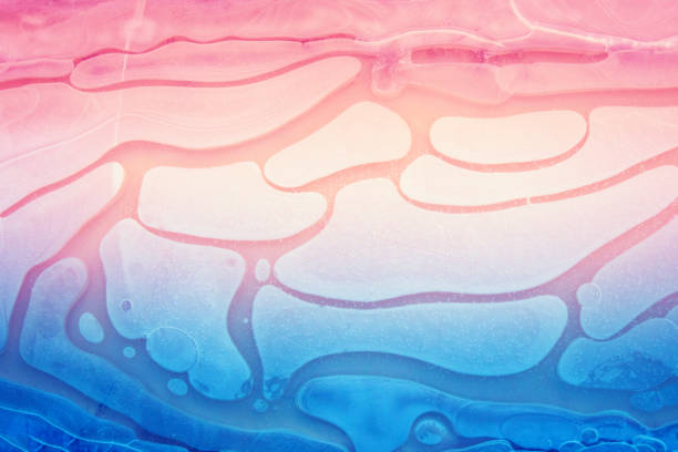 Natural background. Frozen water. Abstract pattern formed on a frozen puddle. Gradient color