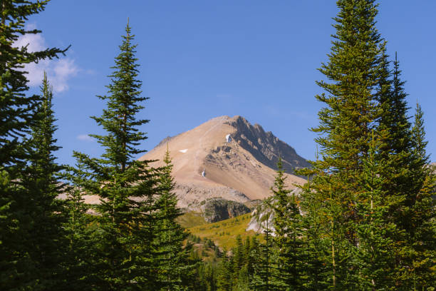 istock Summit in Rocky mountains, Canada on sunny day 912388490