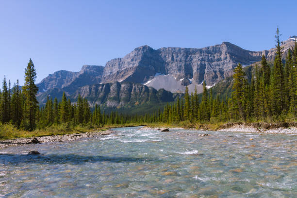 istock Crystal clear river in forest landscape in Rocky Mountains, Canada on sunny day 912389146