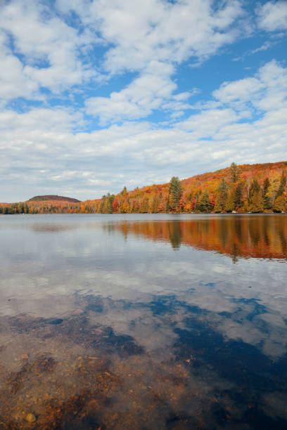 istock Lake Autumn Foliage 912389448