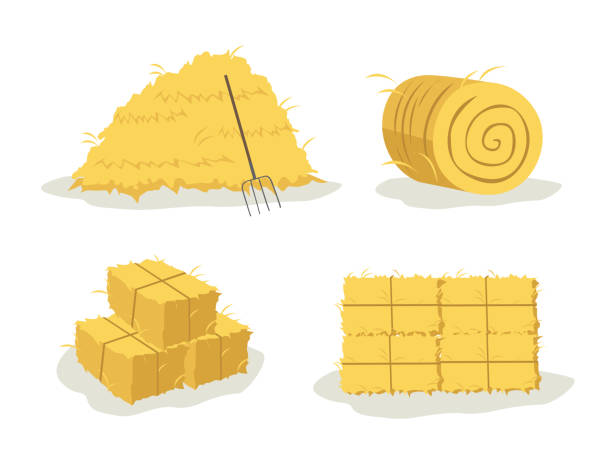 bale of hay different illustration of bale (rounded, stacked, and with pitchfork) hay stock illustrations