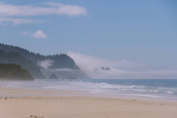istock Crashing waves on empty beach with cliffs in fog during sunny day on Hug Point, Oregon, USA 912405400