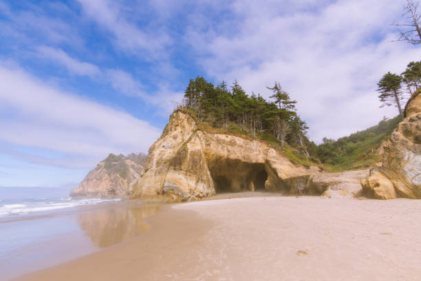 istock Crashing waves on empty beach with cliffs in fog during sunny day on Hug Point, Oregon, USA 912405966