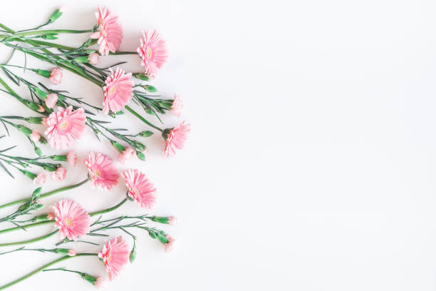 istock Pink gerbera flowers on white background. Flat lay, top view 912413746