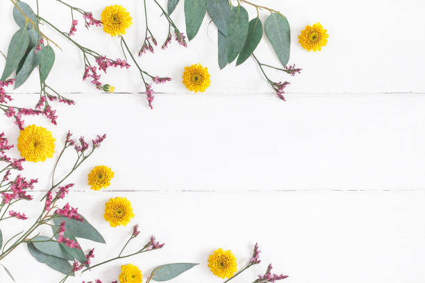 Flowers composition on white wooden background. Flat lay, top view Flowers composition. Frame made of pink, yellow flowers and eucalyptus branches on white wooden background. Flat lay, top view, copy space wild chrysanthemum stock pictures, royalty-free photos & images