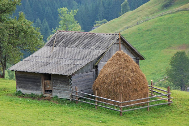 Barn Stack Old Hay Stack And A Tree Stock Photos, Pictures & Royalty-Free Images ...