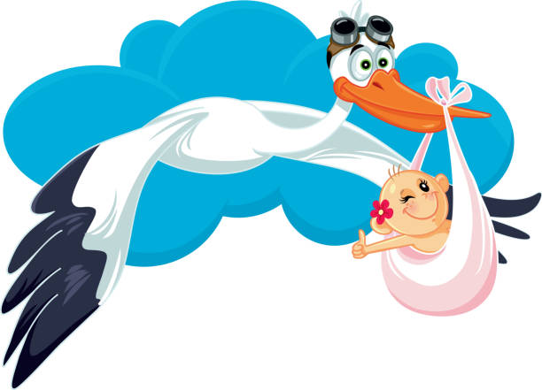 Stork Carrying Baby Girl Vector Cartoon Cute baby shower pregnancy announcement for baby daughter funny pregnancy announcements stock illustrations