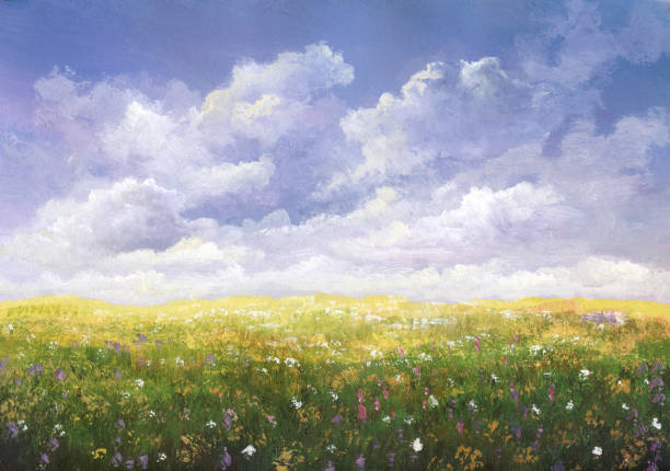 ilustraciones, imágenes clip art, dibujos animados e iconos de stock de prado de verano, pintura - cloudscape cloud flower sky