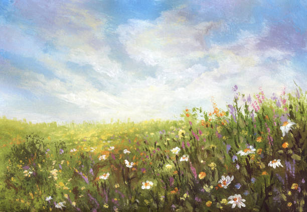 ilustraciones, imágenes clip art, dibujos animados e iconos de stock de prado de verano, pintura - cloudscape cloud flower sky