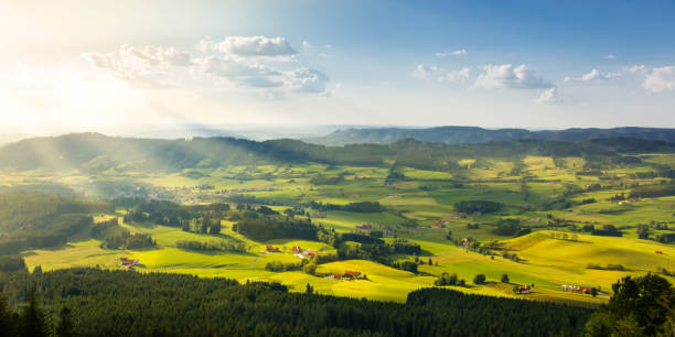 bella campagna rurale alla splendida luce del sole. paesaggio da pascolo con fienili. - allgäu foto e immagini stock