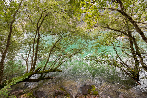cor verde azul de achensee, água turquesa do lago achen no tirol, na áustria, europa - lake mountain north tirol austria - fotografias e filmes do acervo