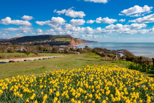 sidmouth, dorset, inghilterra - sidmouth devon foto e immagini stock