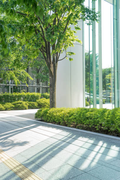 istock glass wall of modern building 912434842