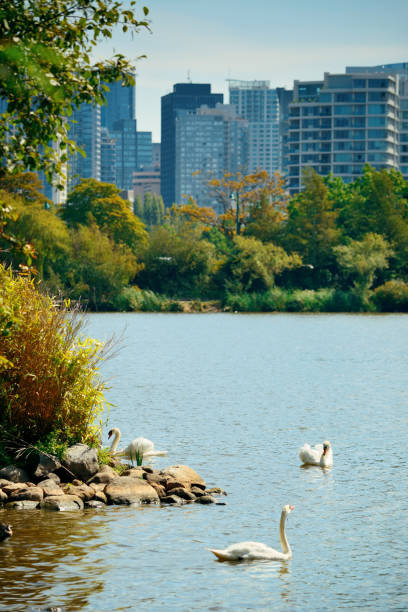 istock Vancouver city skyline 912438168