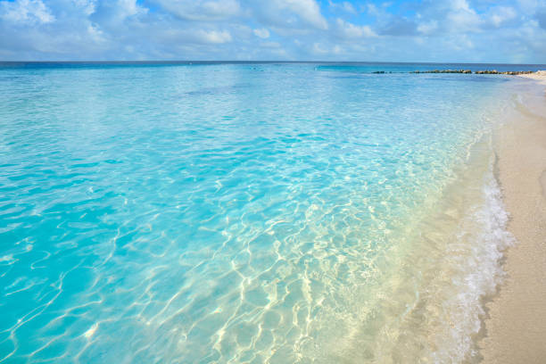 istock Cozumel island Palancar beach Riviera Maya 912441568