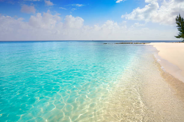 Cozumel island Playa Palancar beach in Riviera Maya of Mayan Mexico