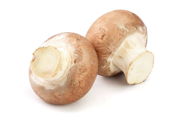 istock Royal Brown champignon isolated on white background 912442814