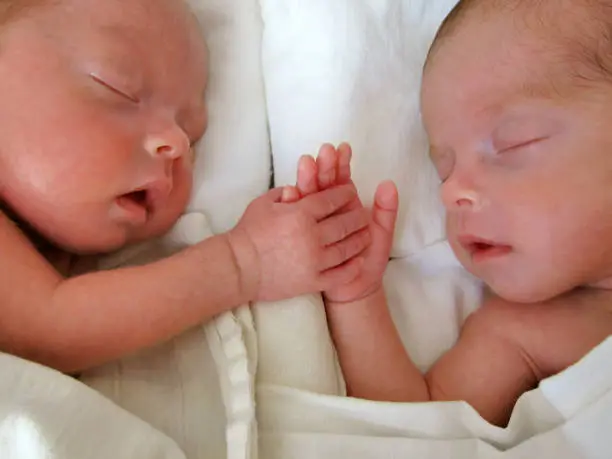 Photo of Newborn Premature Twins holding hands