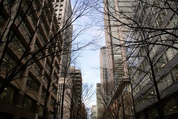 istock Marunouchi in the winter 912450014