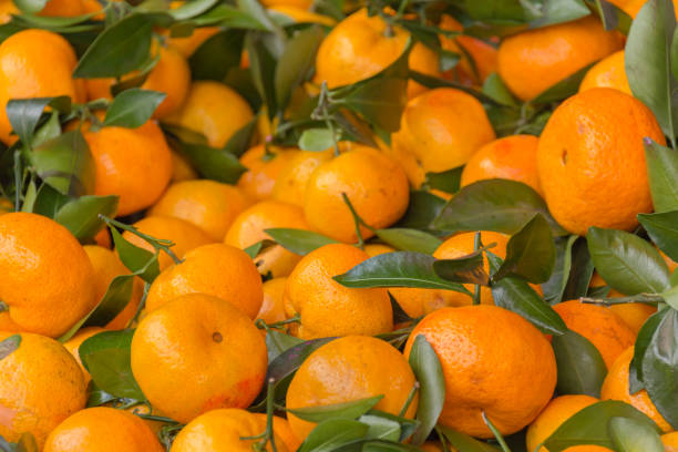 istock Bunch of fresh tangerines oranges 912456946