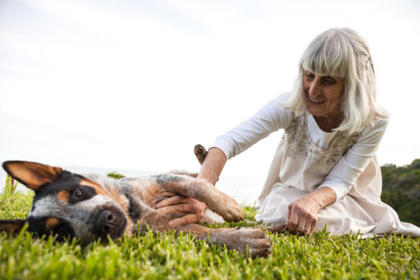 istock Elderly woman playing in the backyard with her dog 912457164