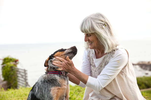 istock Elderly woman playing in the backyard with her dog 912457290