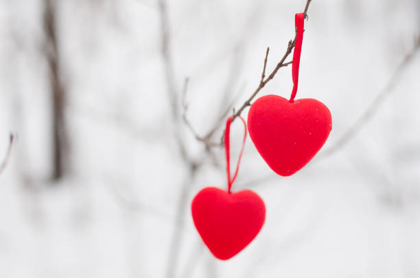 istock St. Valrntine's day decorations. Two briht red hearts hanging on thin bush branch 912461342