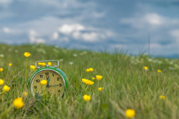 istock Old retro alarm clock sitting in a grass with flowers. 912462084